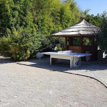 Au Faisan Dore Neuville-sur-Ain Kültér fotó
